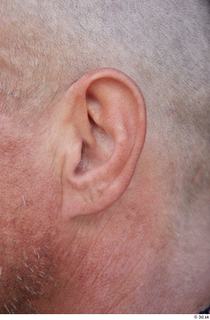 Street  780 ear 0001.jpg